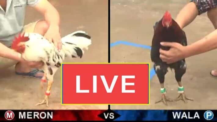 da ga online truc tiep 1