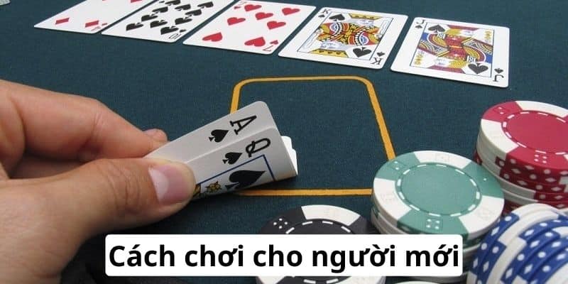 Cách chơi cho người mới